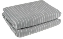 Dometic Ascension FTX 401 Fleeceteppich Für Familienzelt 270 X 295 Cm